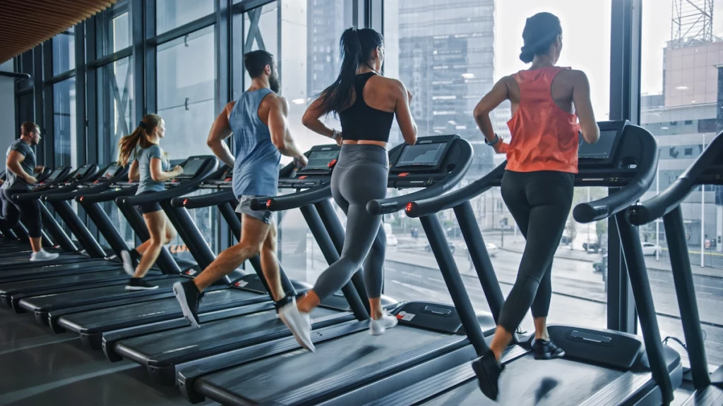 People working out in treadmill